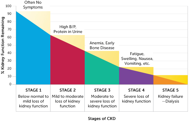 chronic-kidney-disease-stages